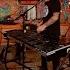 MIKE DILLON BAND Robo Tripping Vikings Live At Lagunitas Beer Circus 2017 JAMINTHEVAN