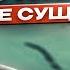 Что нас ждет после смерти Откровения которые могут изменить всё во что вы верили