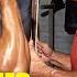 MIKE MENTZER THE IDEAL ROUTINE UPDATED Mikementzer Fitness Motivation Gym