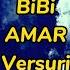 BiBi AMAR Versuri Lyrics Video