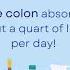 Body Gold 3 Things You Didn T Know About Your Colon