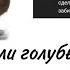 Что делать если голубь начала забиваться Мне подсказали методику Решил с Вами поделится