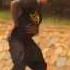 Diamond Platnumz NANA D C Dance