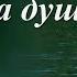 Вы знаете что доброта душевно лечит стихи Наталии Гросс