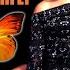 Butterfly Original Vocal Mix