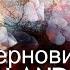 ЧЕРНОВИК Stelena Стефан и Елена Moments