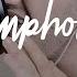 Symphony Clean Bandit Zara Larsson Cover By Stephen Scaccia