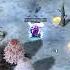 Adventures RO HighWizard Vs Manuk Field 02 2025 03 26 00 32 00