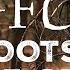 BIGFOOT ENCOUNTERS IN THE FOOTHILLS OF THE OZARKS ARKANSAS IT HAD HAIR COVERING ITS FACE