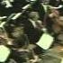 Beethoven Symphony N 5 NPO Klemperer Live1970