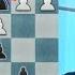 Magnus Carlsen Sorry Dude Your Queen Is Trapped