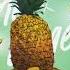 VALLEYZ TASSELLATED Fr AMINDI K FRO T Pine And Ginger EZ2P Reedit