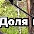 Клип Хайриддин Махмад про доля воровская 2023г Khayriddin Mahmad Pro Doly Vorovckau 2023г
