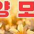 삶의 폭풍 속에서도 흔들리지 않는 주님의 품에 안기는 1시간 찬양과 기도 아침 성가는 마음을 달래고 믿음을 밝혀줍니다