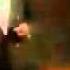 Bunny Dil Main Tum Flv