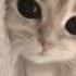 Adlin Ex Sped Up