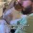 Kissing The Cat Cat Catlover Funny Funnyvideos Foryou Fypage Fypツ Funnycat Cats