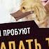Парни пробуют УГАДАТЬ ТОВАРЫ ALIEXPRESS