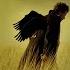 Black Wings Tom Waits Bone Machine 1992 With Lyrics