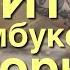 Как сделать скейт бамбуковый скейт из шторы
