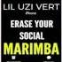 Latest IPhone Ringtone Erase Your Social Marimba Remix Ringtone Lil Uzi Vert