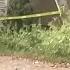 Missing Boy Found Buried In Park As Mom S Sinister Secrets Unravel