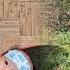Single Mom Cares For Sick Daughter Transforms Garden Lý Tử Diệu