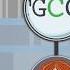 An Introduction To The Human Genome HMX Genetics