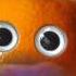 Evil Annoying Orange