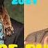 Best Of RudeBoy P SQUARE King Rudy Ft DEEJAY EDDYBADOO