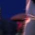Over The Hedge Cat Vs Skunk Fandango Family