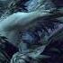 Tchaikovsky Swan Lake Slowed Version