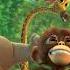 Follow The Munki Junglebeat Shorts