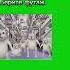 Котики говорят уц уц уц мемы мем Memes Meme кот белый котики футаж футажи смех шутка