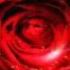Chris De Burgh The Lady In Red