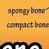 Parts Of A Long Bone Structure Of A Long Bone