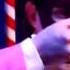 Every Candy Pun In Holy Musical B Man