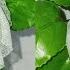 आर गनड क कपड स नय ड ज इन क फ ल बन न स ख Organdy Flower Nehadesignsgallery