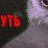 Сибирская Жуть СБОРНИК 11