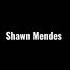Shawn Mendes It Ll Be Ok Https Bit Ly 3ly2g22