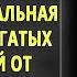 Аудиокниги Не Ной Аудиокниги слушать