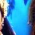 Sri Raja Rajeshwari Telugu Full Movie Ramya Krishna Ramki Sanghavi Deva Telugu Cinema