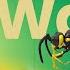 From Figma To A 3D Web Page With Dora Plugin No Code Tutorial