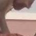 Domestic Monkey Having Sex With A Chicken Amazing Scene Short Trend Viral Animal Fact