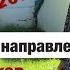 Разбор по направлениям повести В Быкова Журавлиный крик Часть 2