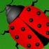 Insects Song For Kids Toddler Rhymes Educational Songs Bindi S Music Rhymes