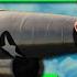 Project Pluto The Nuclear Powered Cruise Missile