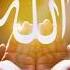 Allah Behtar Kare Ga Allahﷻ Allahprtawakal Ytshort Viral Asfa