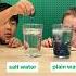 Salt Water Trick Chemistry Experiment At Home With Food Coloring