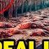 America S 10 States Are Becoming Real Life Zombie Cities Due To The Homeless Crisis